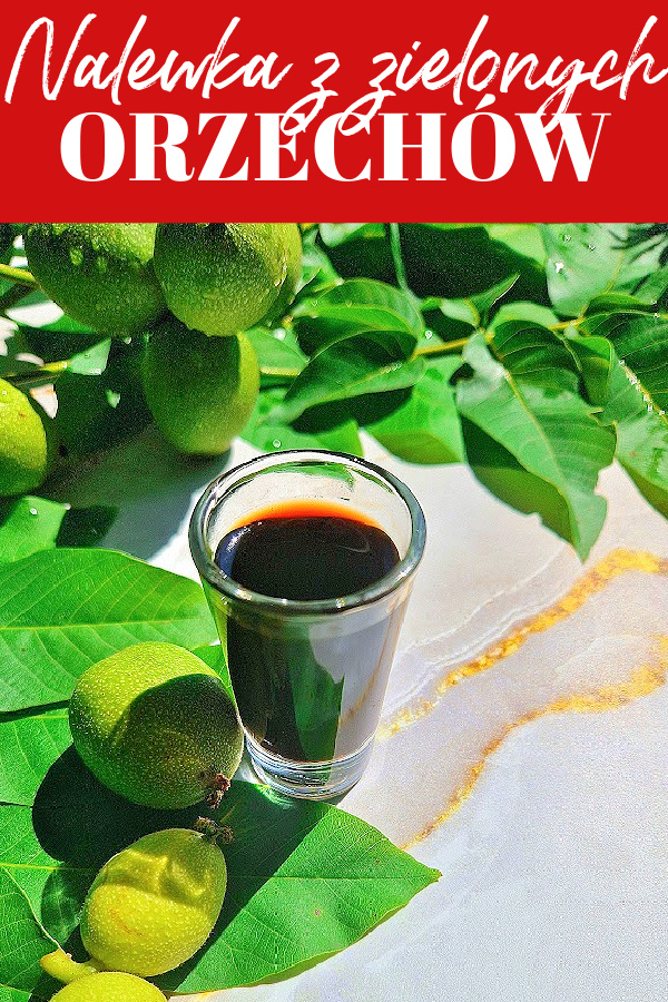 Kolaż z czerwonym tłem i białym napisem „Nalewka z zielonych orzechów”. Poniżej zdjęcie kieliszka z ciemnozłotą nalewką zdrowotną ustawionego na jasnozłotym tle. Obok zielone liście orzecha i świeże, zielone orzechy.