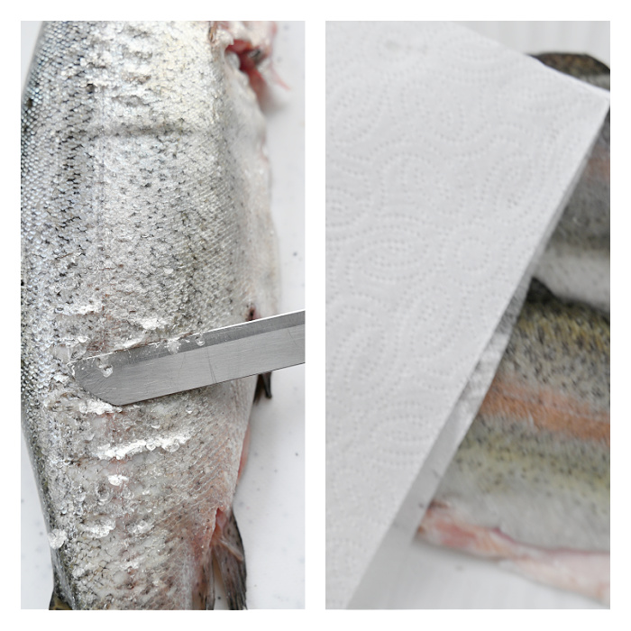 Oczyszczanie pstrąga z łusek za pomocą noża oraz osuszanie ryby ręcznikiem papierowym.