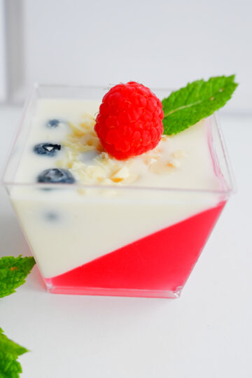 Zdjęcie główne kwadratowe przedstawiający pojedynczy deserek panna cotta z czerwoną galaretką, borówkami i maliną, stojący obok gałązki mięty na białym tle.